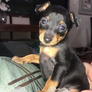 Meet your Posher, Daniela